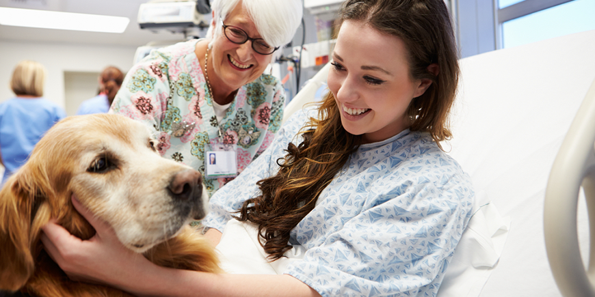 la terapia asistida con animales: Calidad de vida